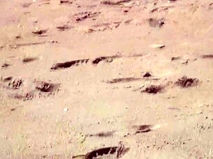 Gorgeous Teen Bathes In The Ocean