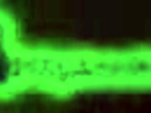 massive cum on goddess's size 9.5 feet during intense footjob session