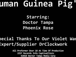 phoenix rose participates in experimental sessions