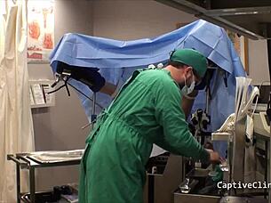 phoenix rose participates in experimental sessions