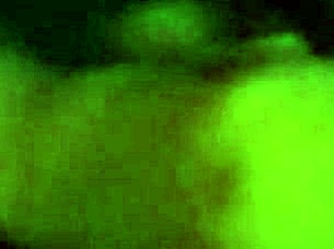 my dick sucking vixen can't get enough of it