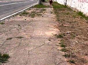 Tanned Prostitute On Highway Takes Me To Woods For Free Fuck