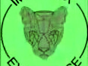 Full Video Premium My Boyfriend Fucks My Big-Ass Friend With Big Tits