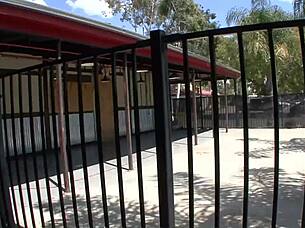 this beautiful brunette is taking the python with blowjob and riding 😍