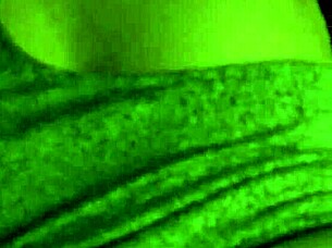 pov doggy style on tinder with bent over action