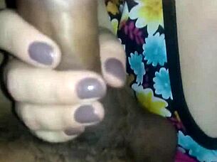 Brazilian Culture and Beauty Highlights