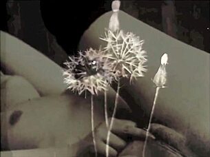 Vintage Amateurs In My Secret Life, What Secrets?