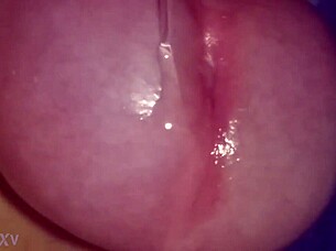 My cock throbs thinking of you