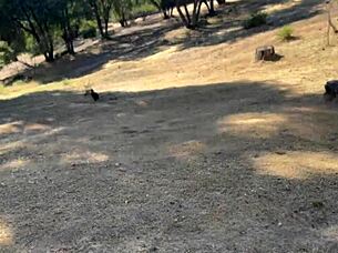 hey, sexy cowgirl, tell me about that horse ride