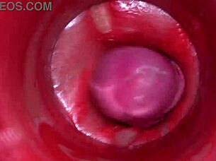 Camera Inside Pussy Captures Powerful Cumshot With Deep Internal Views In 4K