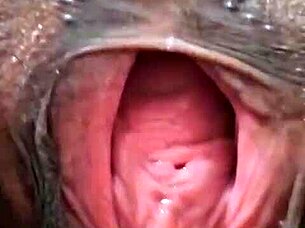 Why Is Brenda Floripa Stripping Solo For Masturbation?