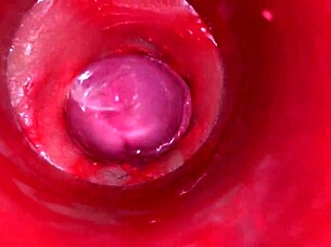 Camera Inside Pussy Captures Powerful Cumshot With Deep Internal Views In 4K