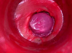 Camera Inside Pussy Captures Powerful Cumshot With Deep Internal Views In 4K