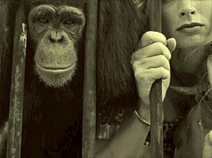 classic vintage scene shows hairy pussy getting pounded doggystyle in retro style