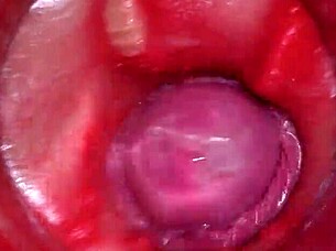 Camera Inside Pussy Captures Powerful Cumshot With Deep Internal Views In 4K