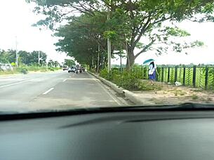 Professor Engages With Asian Pinay Student In An Intimate Educational Encounter Leading To A Surprising Outcome