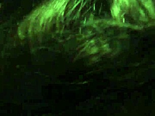 i can't get enough of kingdinglong's massive bbc as this mature white cougar gives an epic gumjob