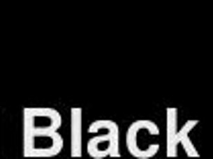 what if honey's erotic art meets paul black's kinky toy play in cinema?