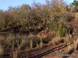 come join african porn lesson at my wild sex safari with big cock orgy