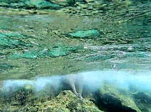 Hot Milf Enjoys Intense Underwater Sex with Juicy Pussy Licking and Deep Penetration in Pool