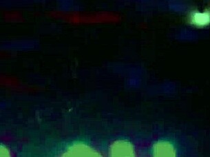 In a melodic tale, they go both ways with acoustic slowed vibes