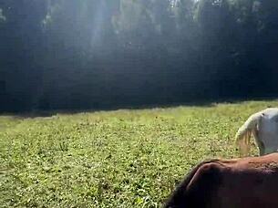 Will these tattooed transsexual crossdressers push me over the edge with their vibe?