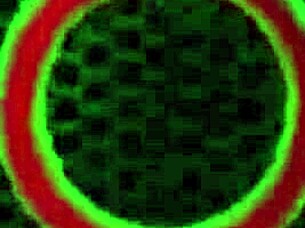 Hey, check out Vixen Vanity riding Rome Major's BBC in a steamy bathroom session, getting all wet and squirting! 💦🚿