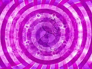 Intense Sissy Training Teaser Delivers Harsh Anal Instruction And Teasing