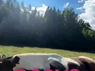 Will these tattooed transsexual crossdressers push me over the edge with their vibe?