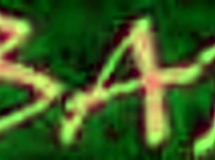 Rachael Cavalli and Whitney OC guide a girl from no blowjobs to deepthroating in FFM threesome.