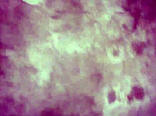 Let's chat about those forbidden desires