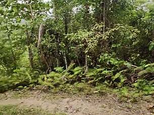 We had outdoor fun with my horny Filipina girlfriend and almost got caught