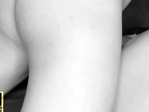 Trailer shows guy taking curvy Latina Andressa Castro doggystyle to creampie her tight spot