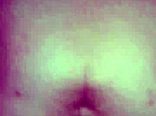 black bull's bunny is ravishing that ray main bunny 🐰🍆