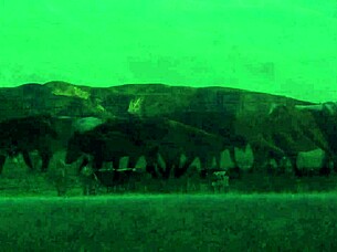 Brooke Ballentyne Rides Huge Cock in Chaps Until Creampie Fills Her Ass in Wild Anal