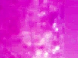 Amateur Babe Groans Wildly With Intense Orgasms From Ass To Pussy Action!