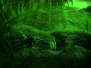 exploring creative 3d hentai animation with fun cartoon elements and costumes