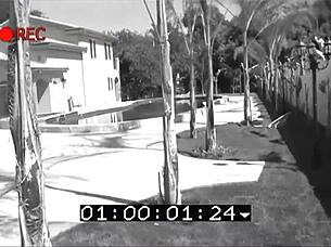 Christine Alexis spreads her shaved pussy wide for deep penetration and enjoys intense action