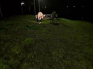 hey, can you imagine us out in the forest, me bending over for that deep internal creampie in public nature?