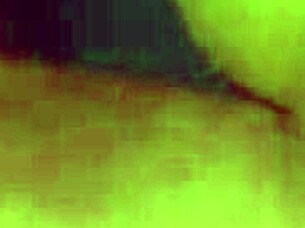 i-i'm tiffany taylor, this unfaithful slut with shaved pussy, gettin' smashed hard in the garage while teasin' and givin' deep blowjobs!