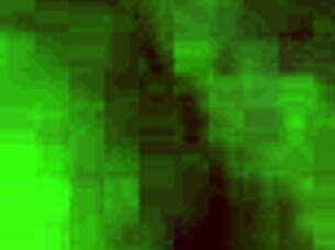 I Feel So Excited Sucking That Hard Cock Deeply