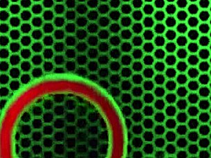 In this scene, busty brunette cougar Nina Dolci rides Rome Major's big black cock. She gets bent over for deep interracial pounding in lingerie.