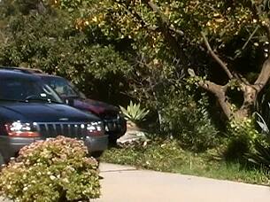 Hey, Fucking That Blonde Milf Was Intense