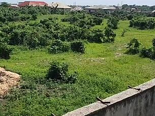 ghetto barbie horny for black monster cock fix outdoors  