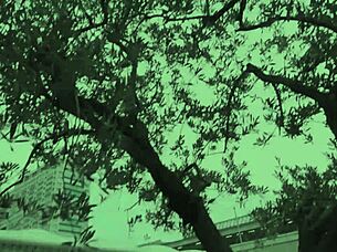 Oh wow, affair with beautiful young 18+ japanese wife part 4 - huge saggy tits and sexy pregnant body cheating wildly!