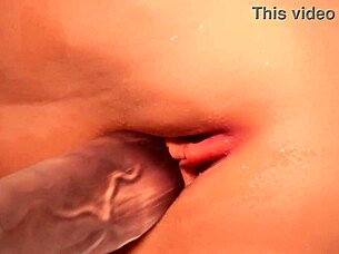 Close up shaved pussy fingering with masturbator toy for double penetration anal action