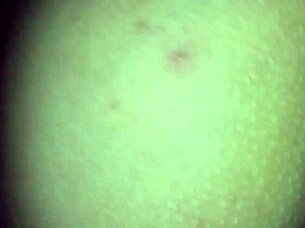 rough fucked by my bull outdoors while cuckold waits, then he creampies my wet pussy in homemade 3some