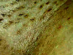 Hey, let's get into fucking my wife with some intense passion tonight