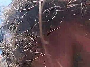 Amateur blowjob and doggy style fuck with cum in mouth in the bush 😏