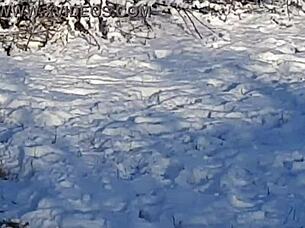 Risky Outdoor Public Jerking Off On People With Intense Orgasm Fetish